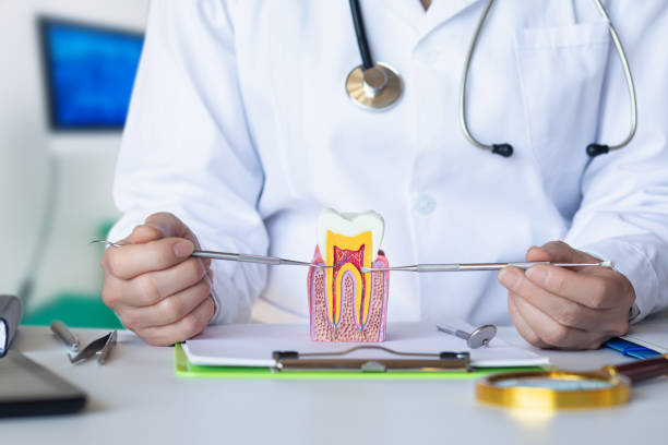 Best Emergency Dentist for Knocked-Out Tooth in South Beloit, IL